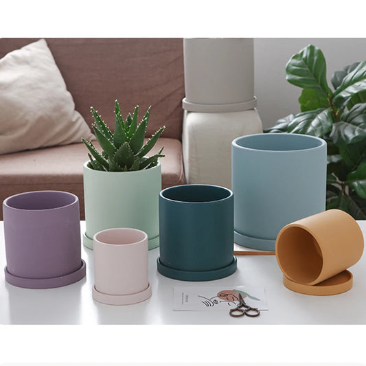 Minimalist Matte Ceramic Planters