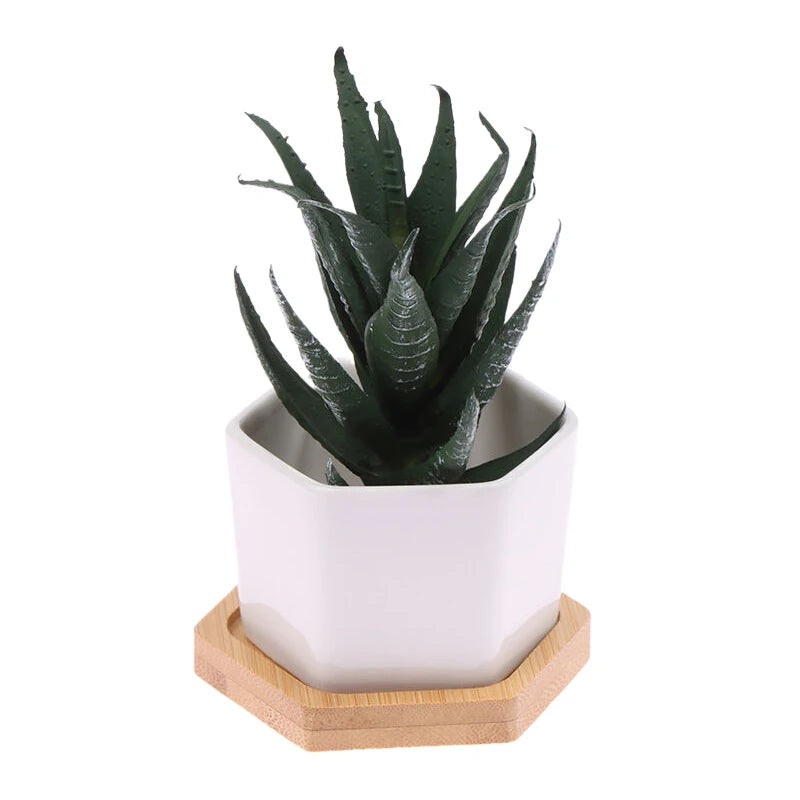 Mini White Hexagon Flower Pot