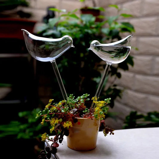 Self-Watering Glass Plant Globes