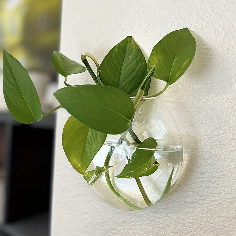 Orb Wall Hanging Glass Vase