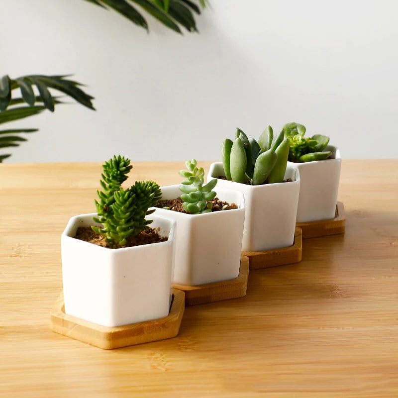 Mini White Hexagon Flower Pot