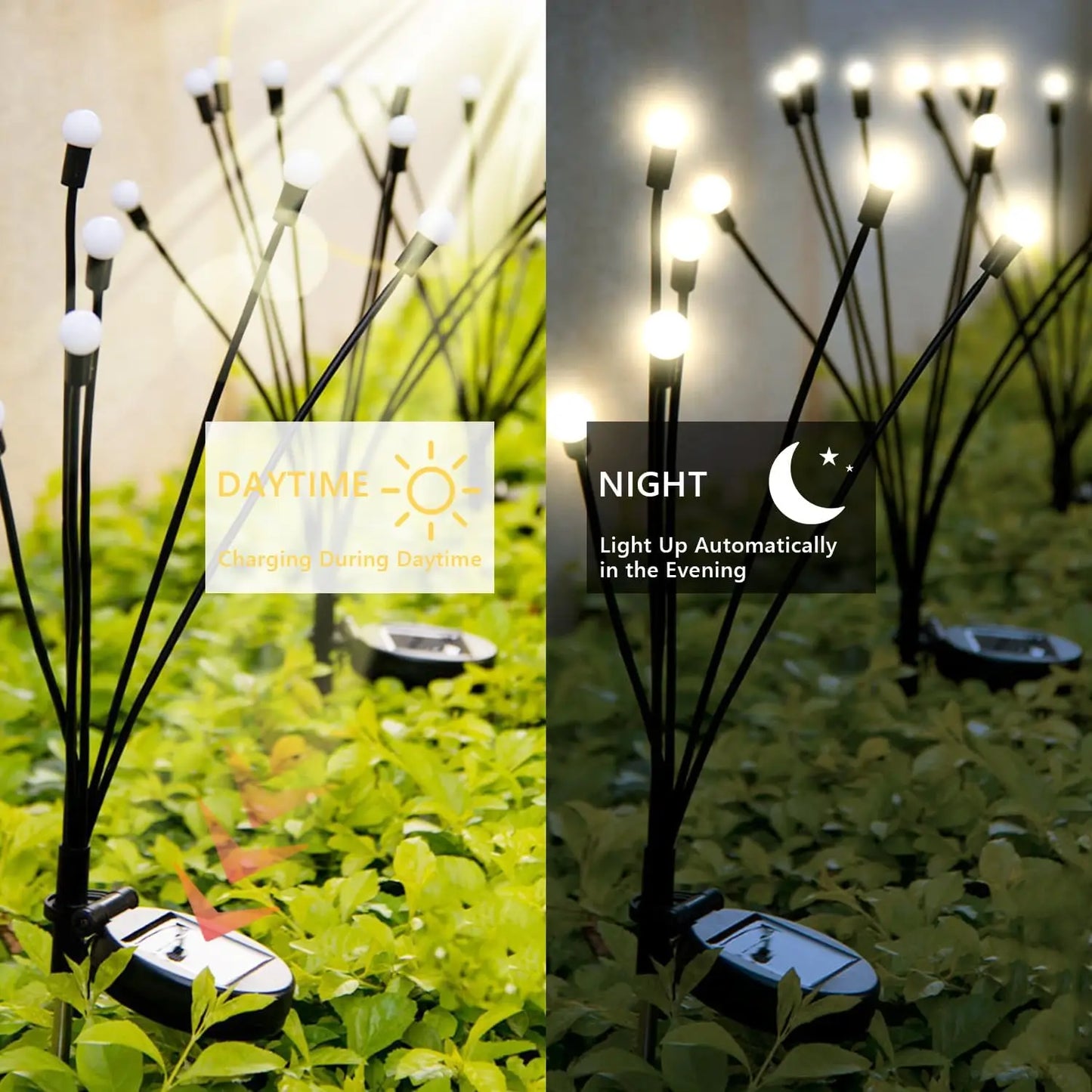 Solar Powered Garden Lights