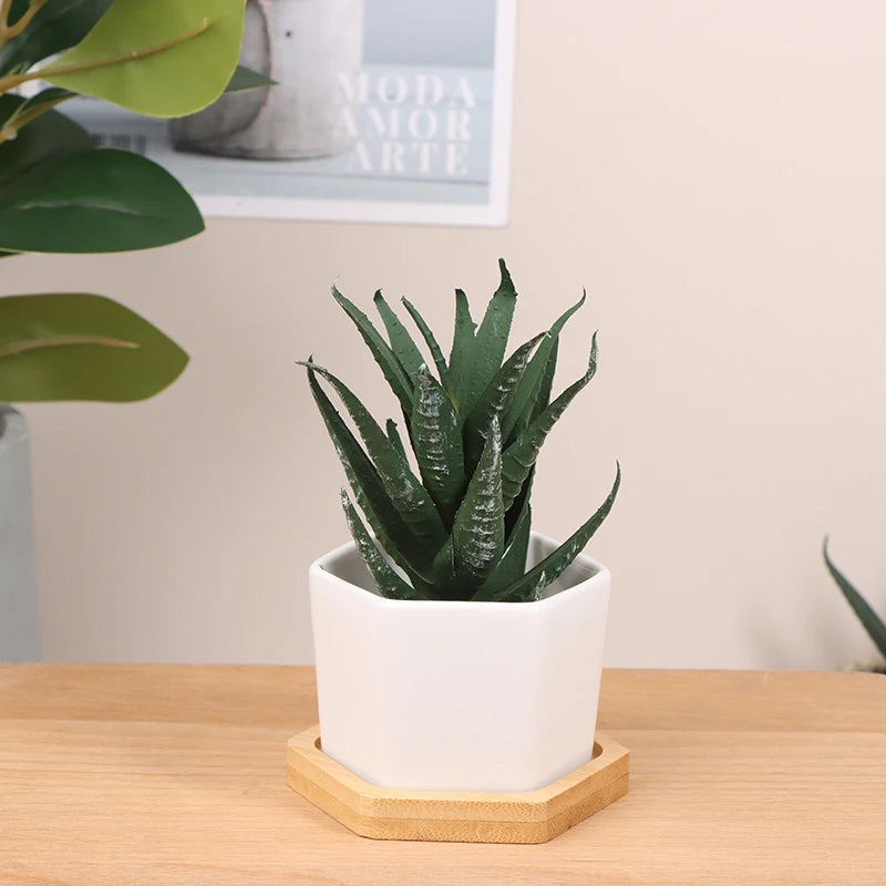 Mini White Hexagon Flower Pot