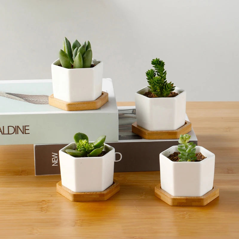 Mini White Hexagon Flower Pot